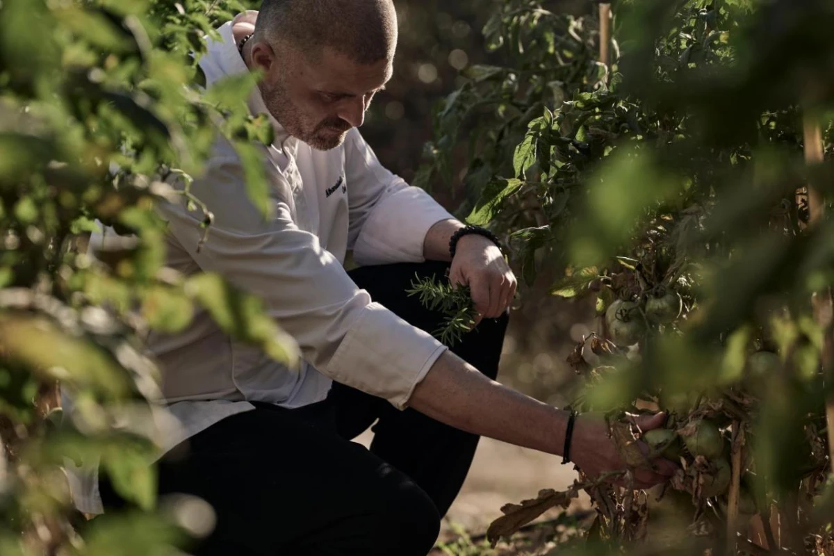 Celestial All Suites - Hotel Photo 52