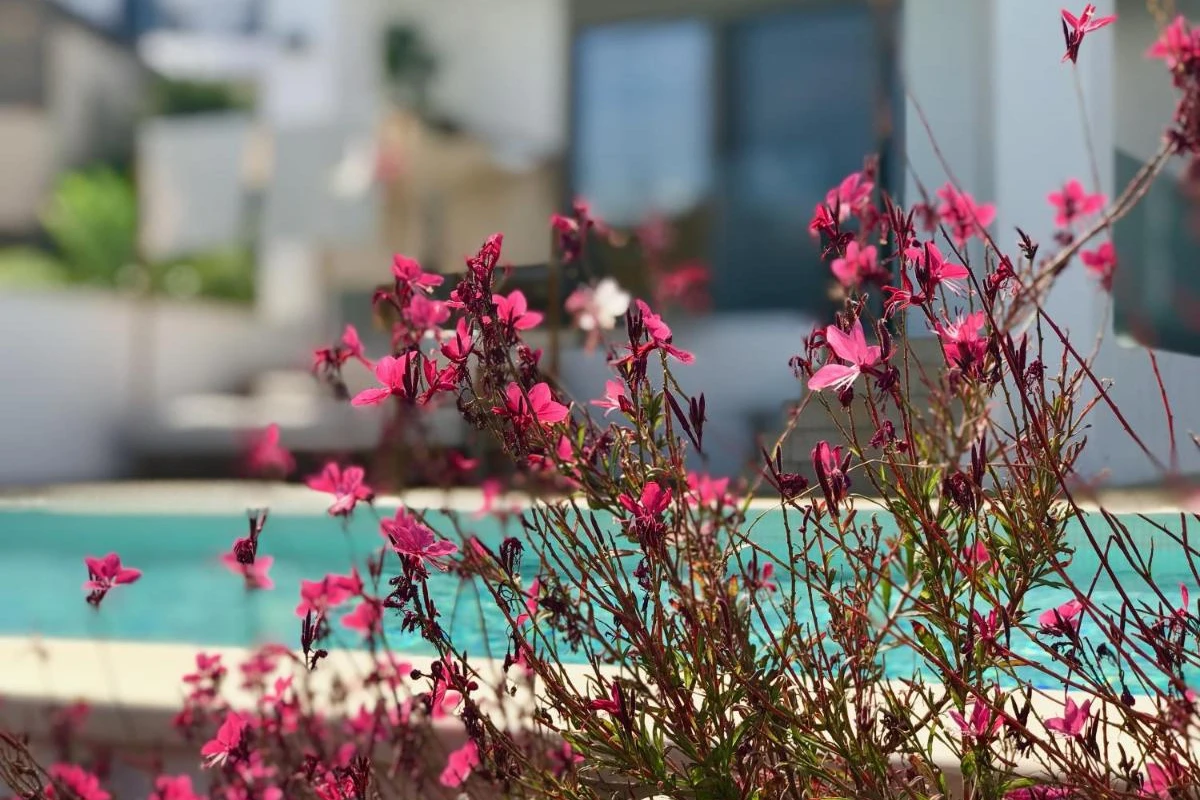 Creta Blue Boutique Hotel & Suites - Hotel Photo 31