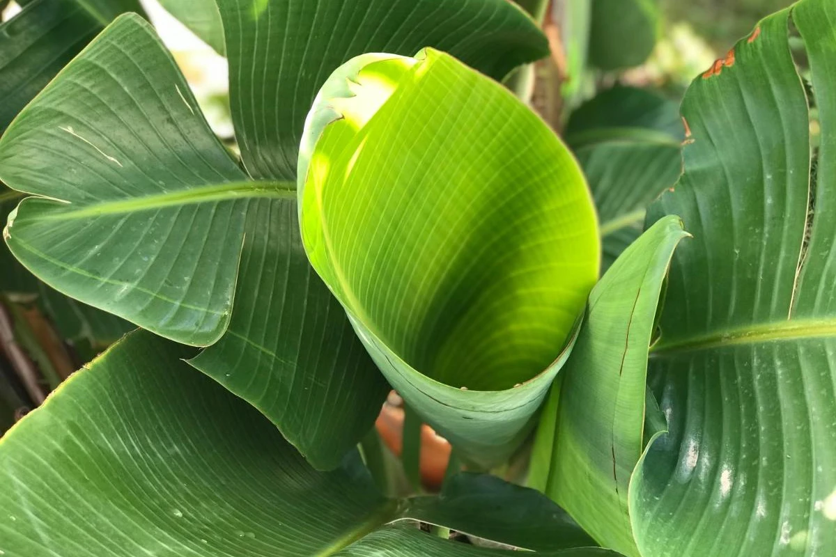 Creta Blue Boutique Hotel & Suites - Hotel Photo 32