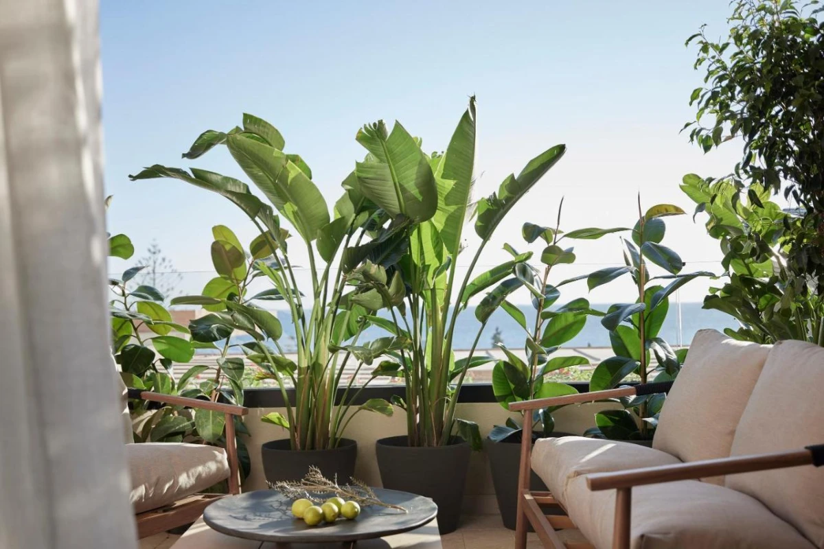 Helea Lifestyle Beach Resort - Hotel Photo 36