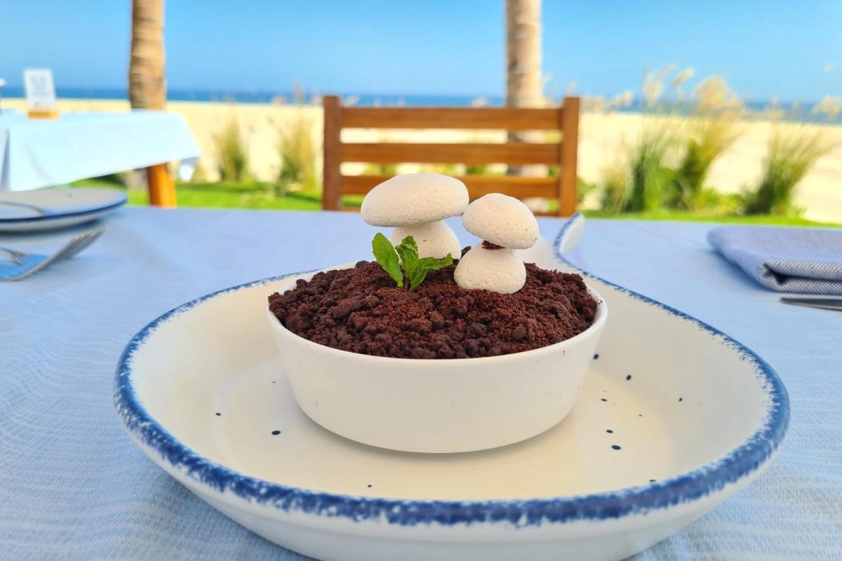 Zoetry Casa del Mar Los Cabos - Hotel Photo 28