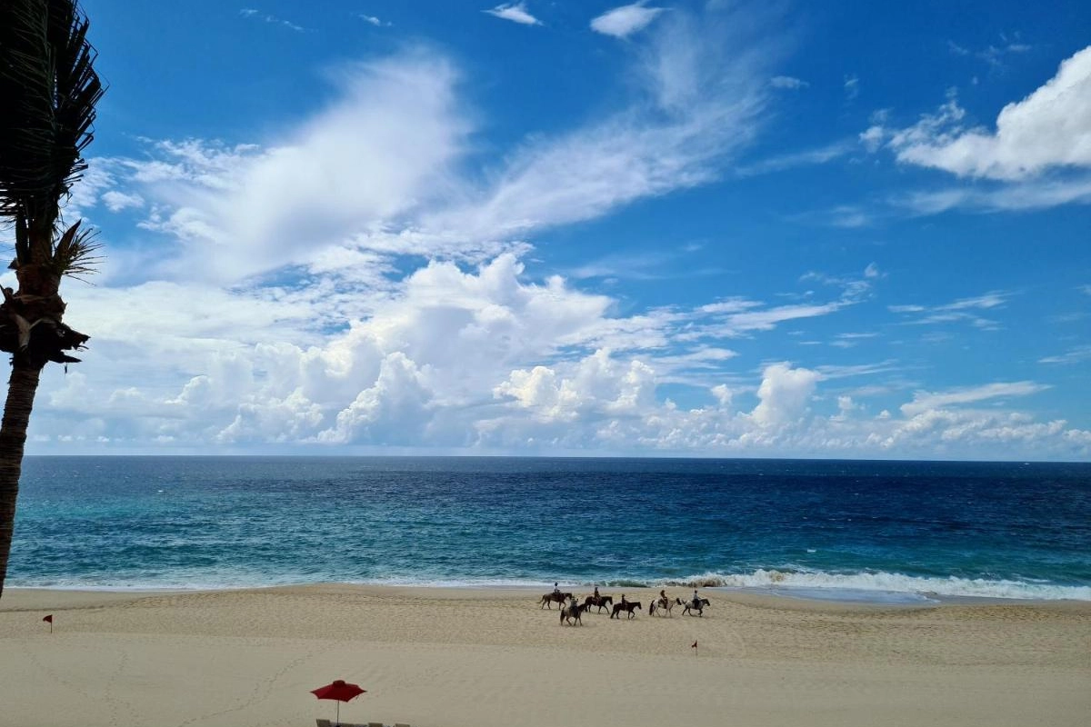 Zoetry Casa del Mar Los Cabos - Hotel Photo 66