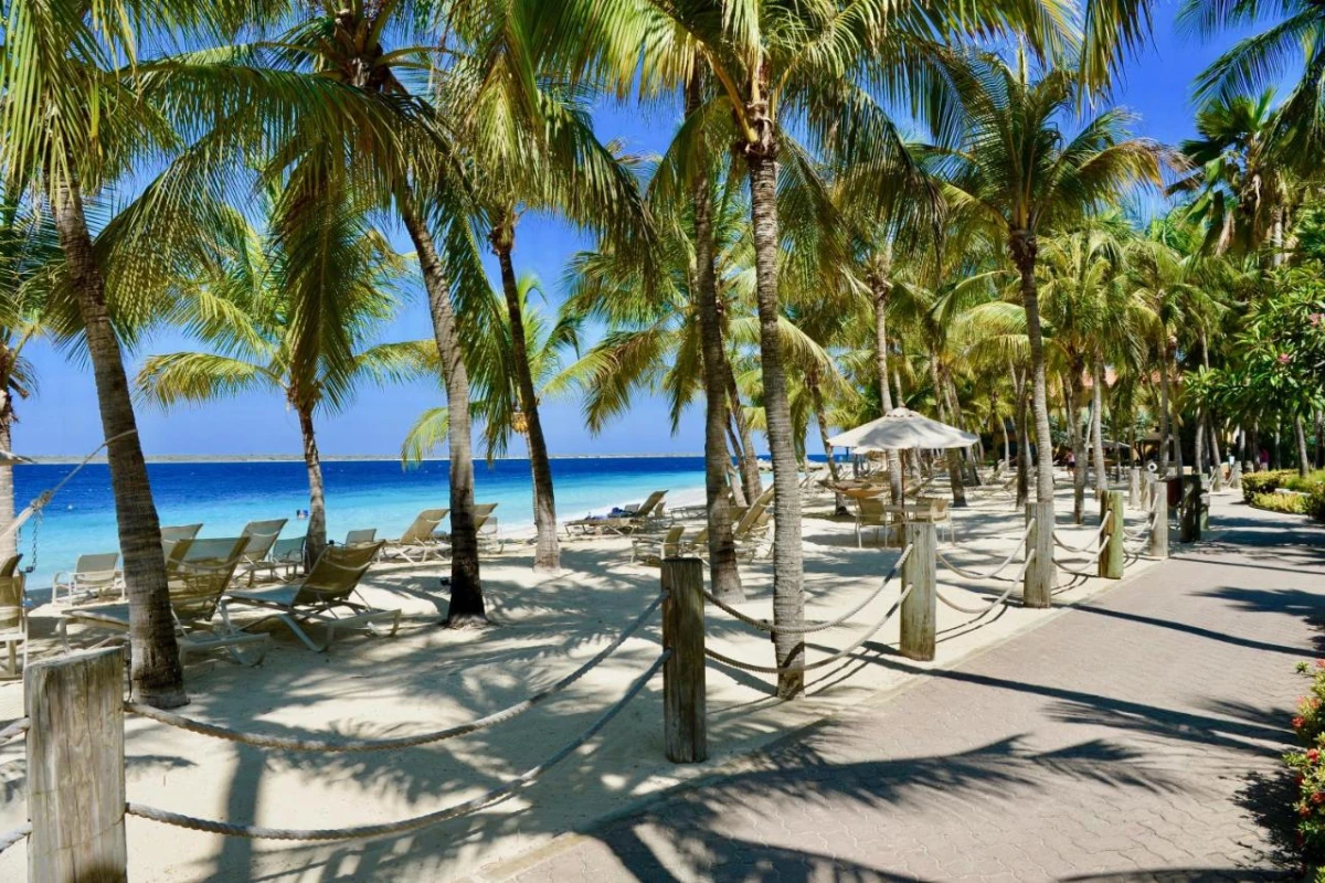 Harbour Village Beach Club