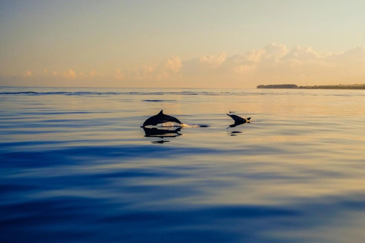 LUX* Le Morne - Hotel Photo 31