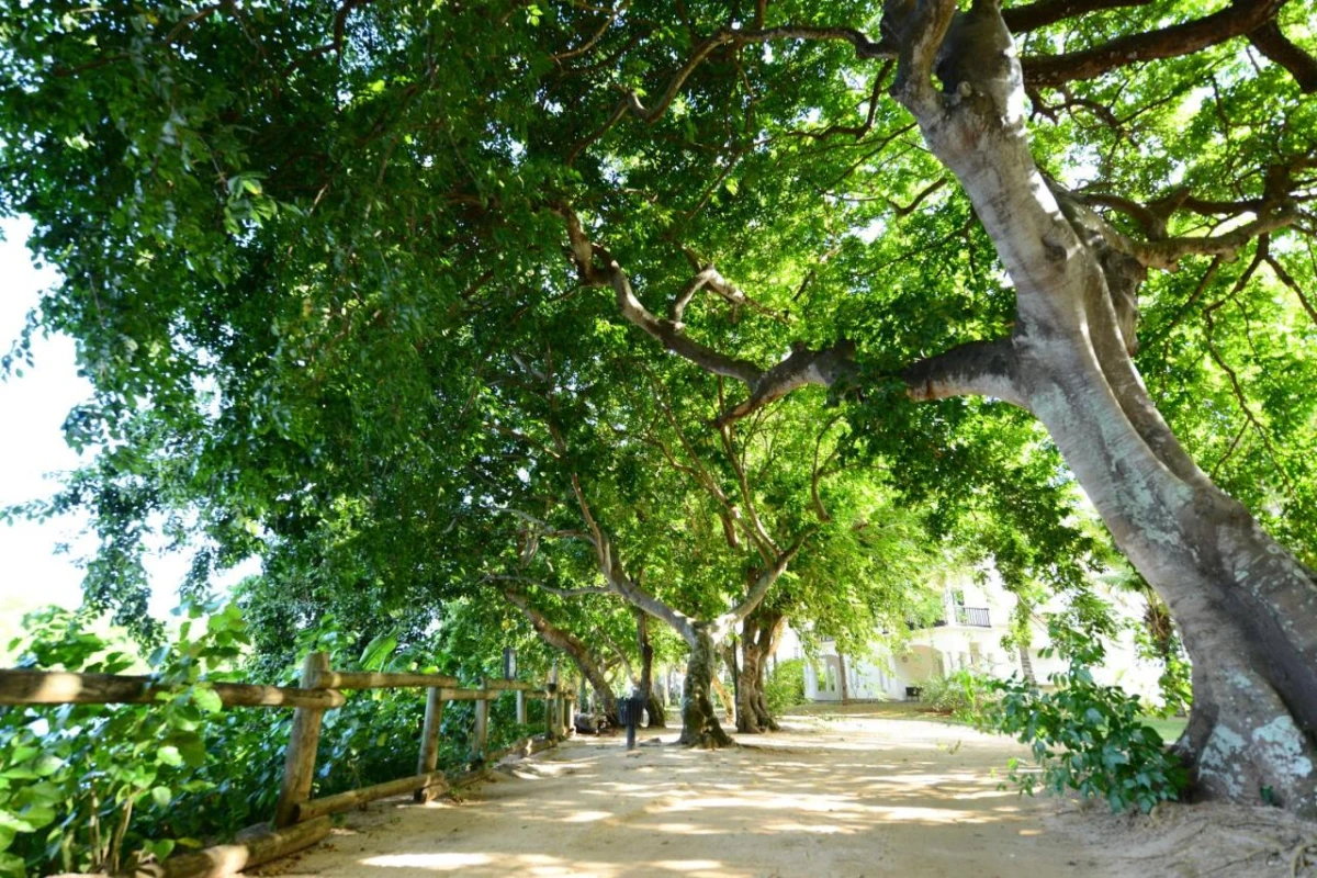 The Ravenala Attitude - Hotel Photo 49