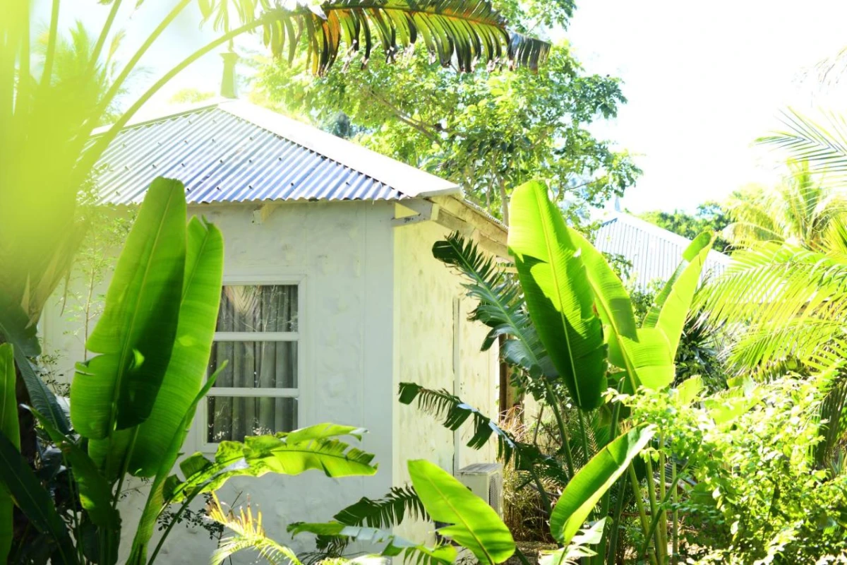 The Ravenala Attitude - Hotel Photo 50