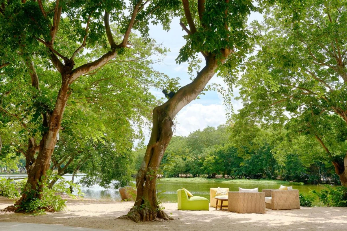 The Ravenala Attitude - Hotel Photo 55