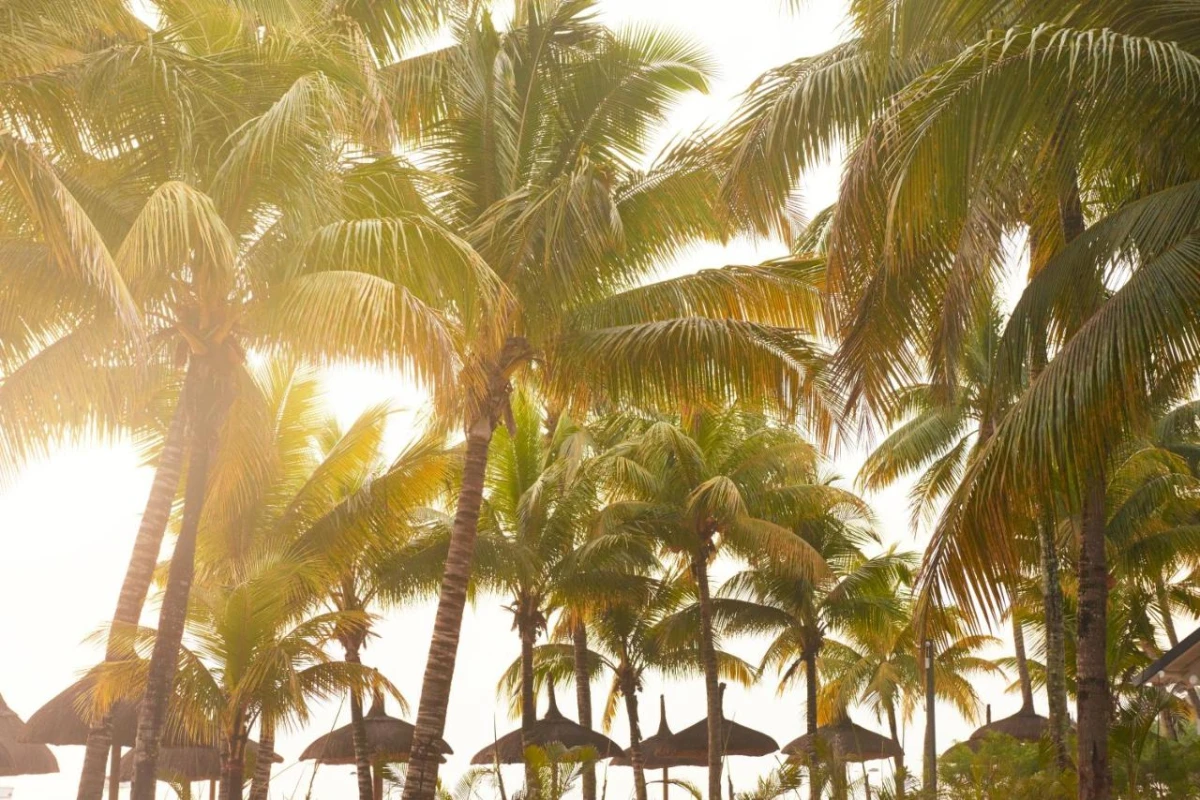 The Ravenala Attitude - Hotel Photo 63