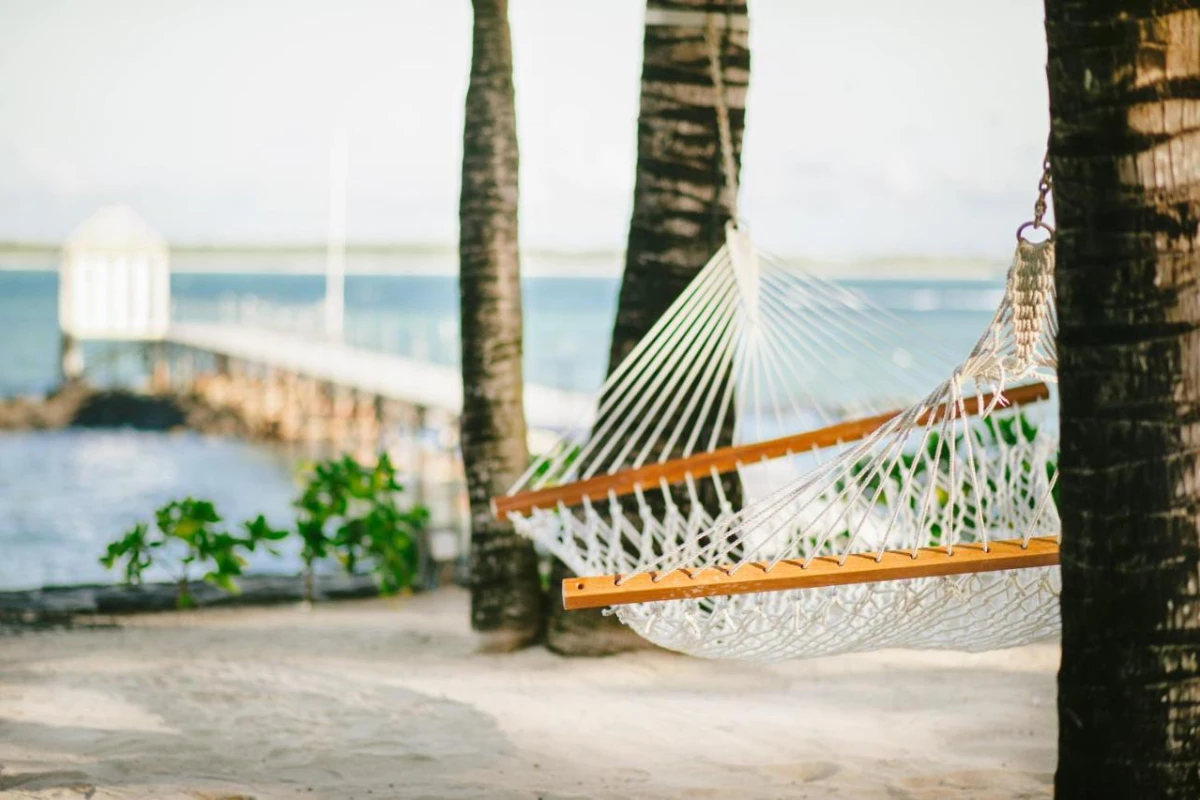 Tropical Attitude - Hotel Photo 50