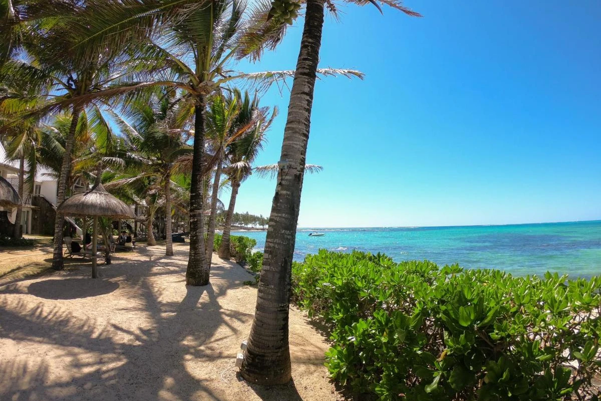 Tropical Attitude - Hotel Photo 59