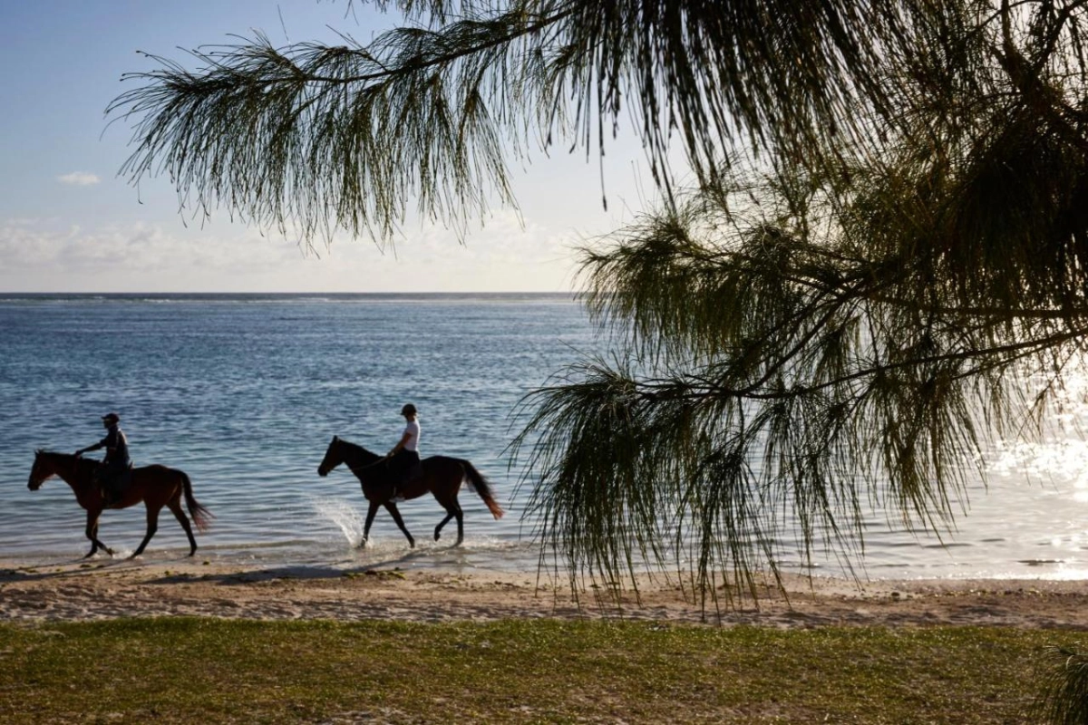 C Mauritius - Hotel Photo 63
