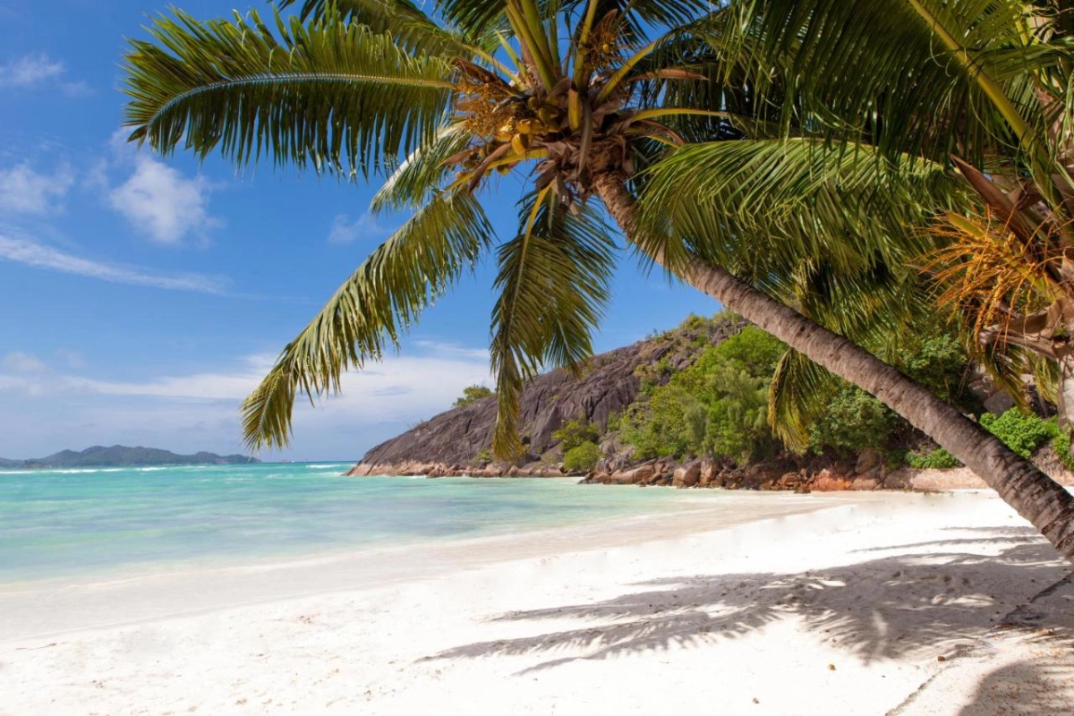 Hotel L'Archipel - Hotel Photo 24