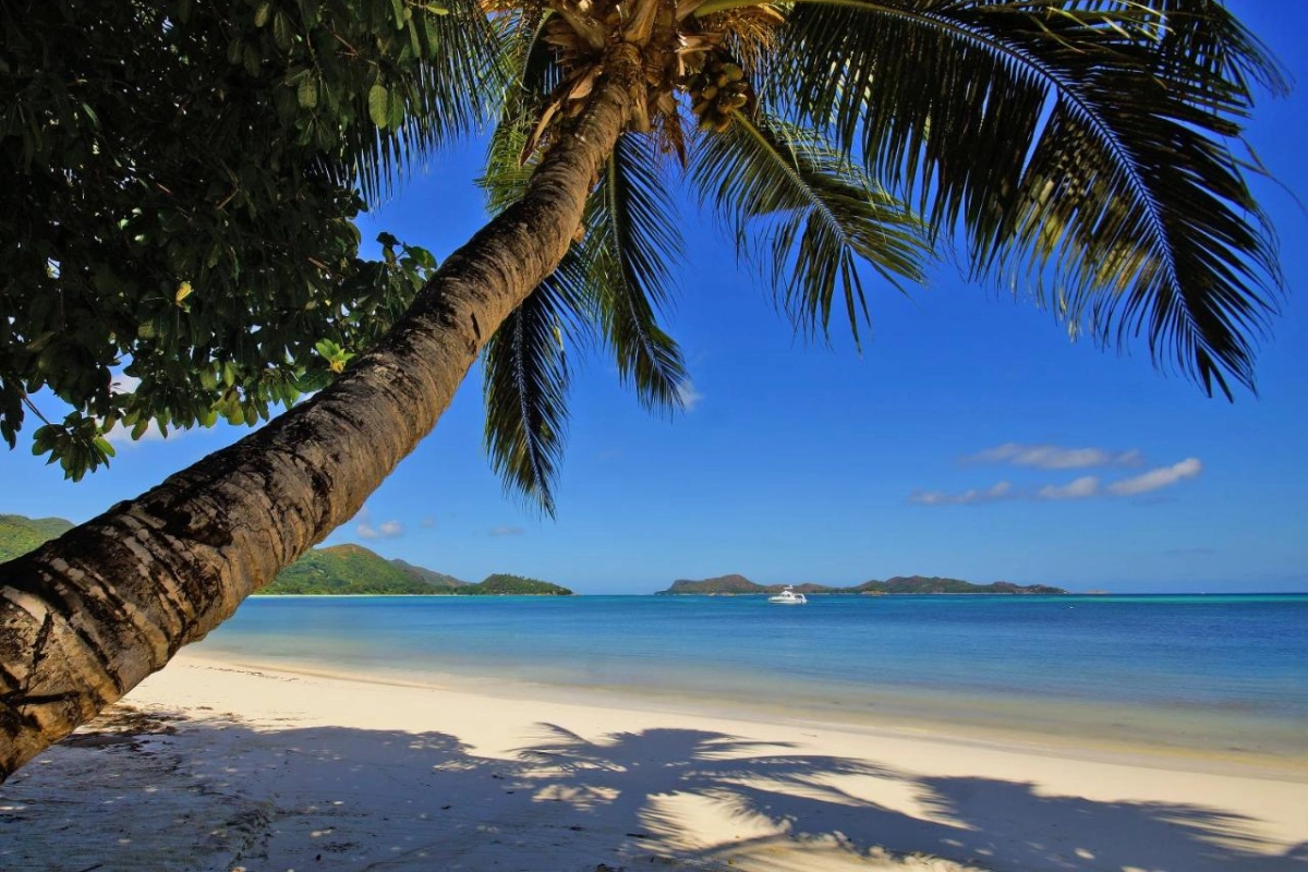 Hotel L'Archipel - Hotel Photo 26