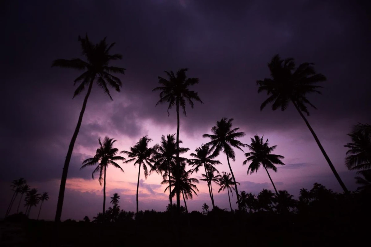 Sri Sharavi Beach Villas & Spa - Hotel Photo 20