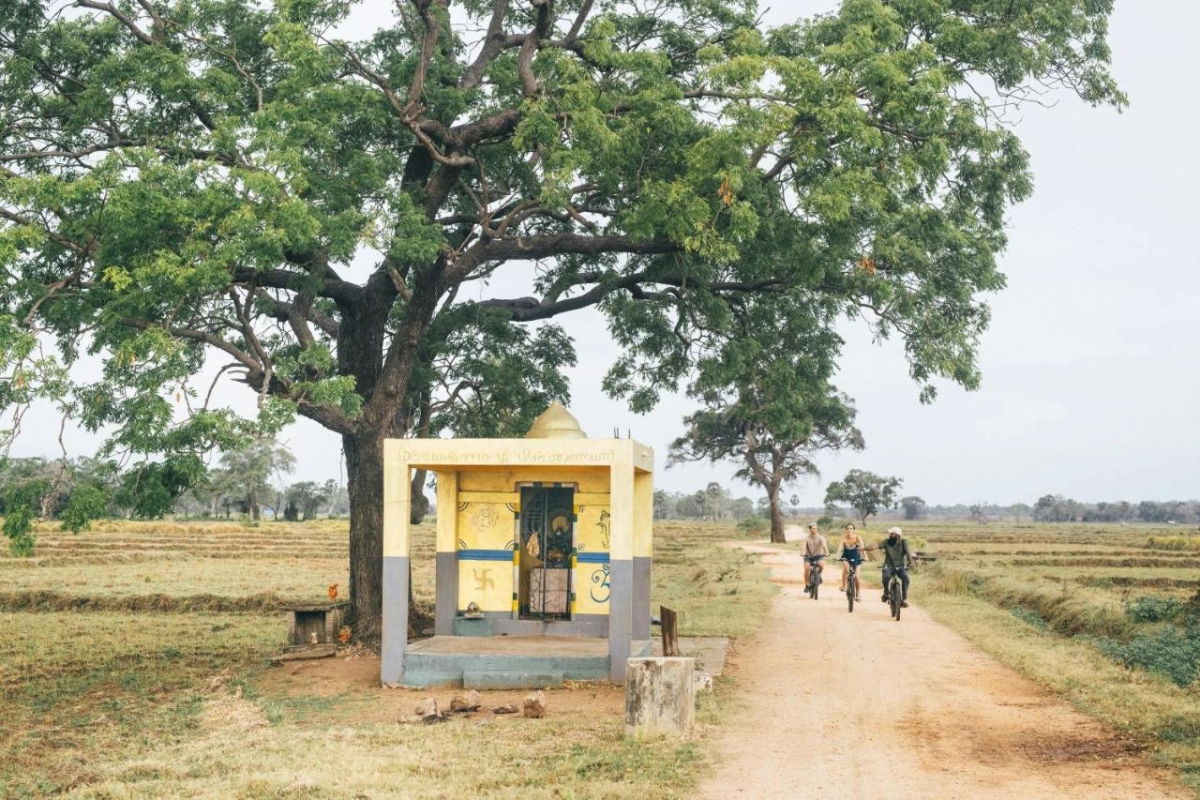 Jungle Beach by Uga Escapes - Hotel Photo 46