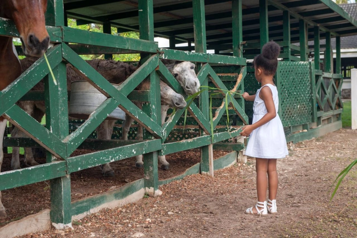 Half Moon - Hotel Photo 23