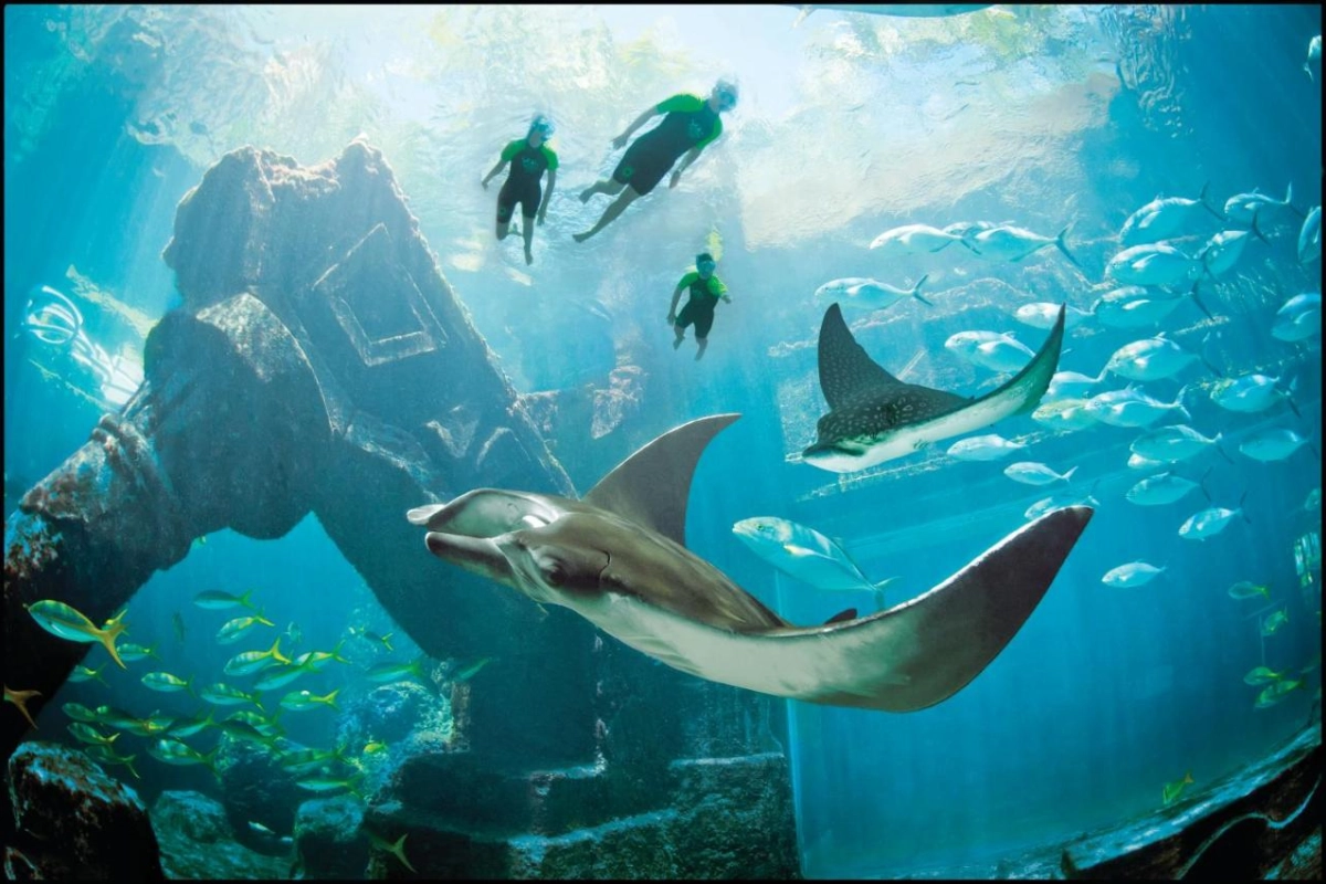 The Royal at Atlantis - Hotel Photo 21