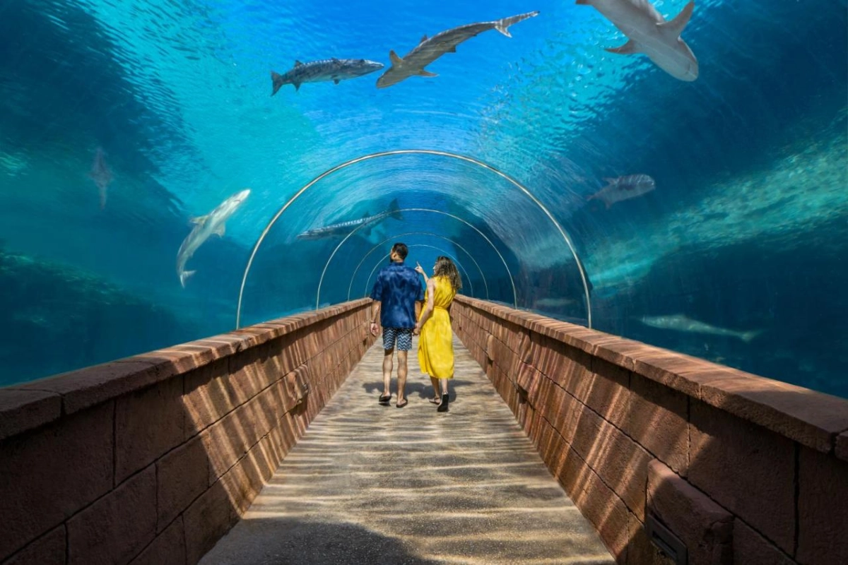 The Royal at Atlantis - Hotel Photo 23