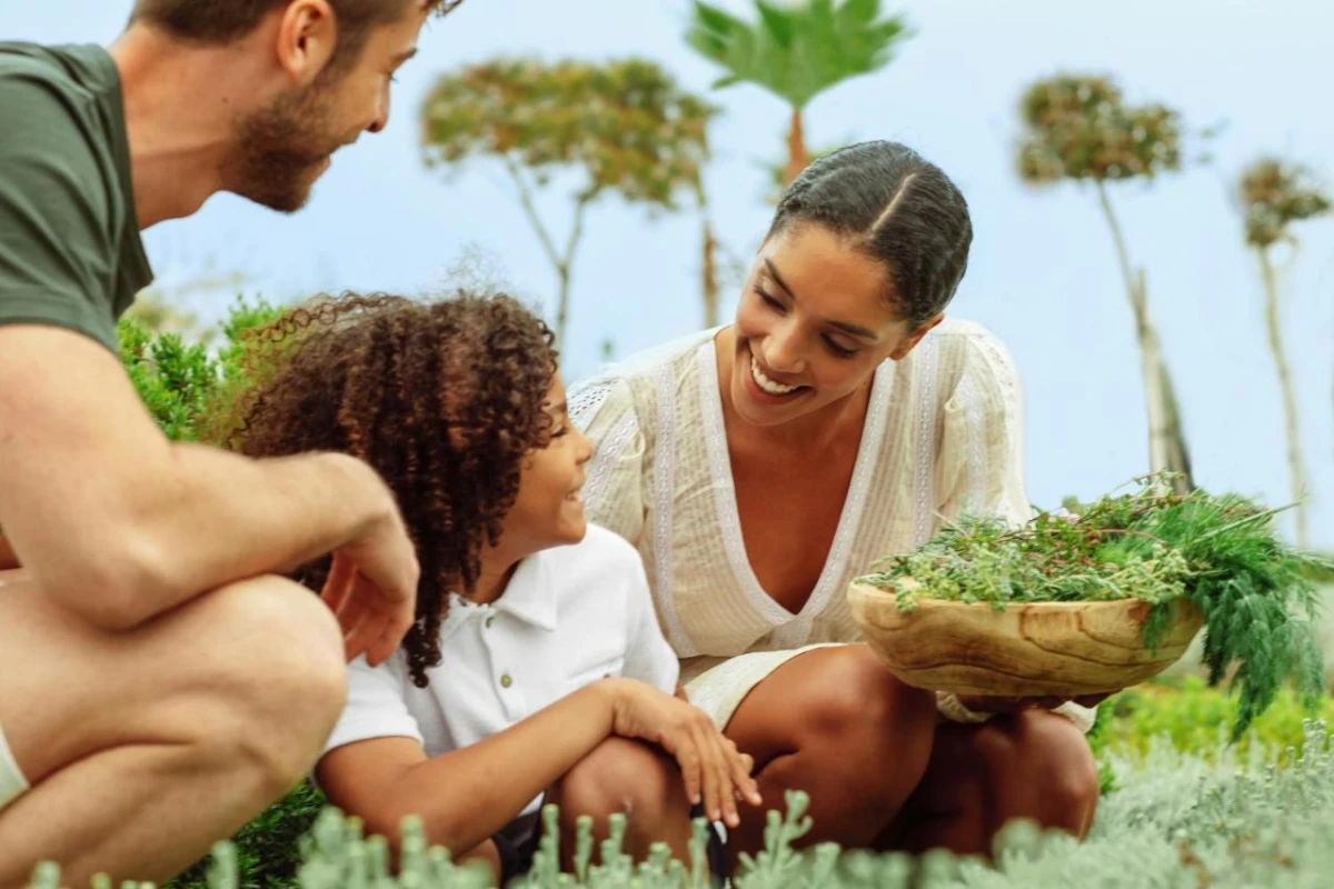 Ikos Odisia - Hotel Photo 23