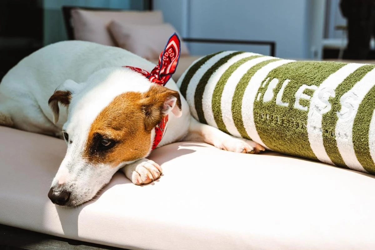 Bless Hotel Ibiza - Hotel Photo 40