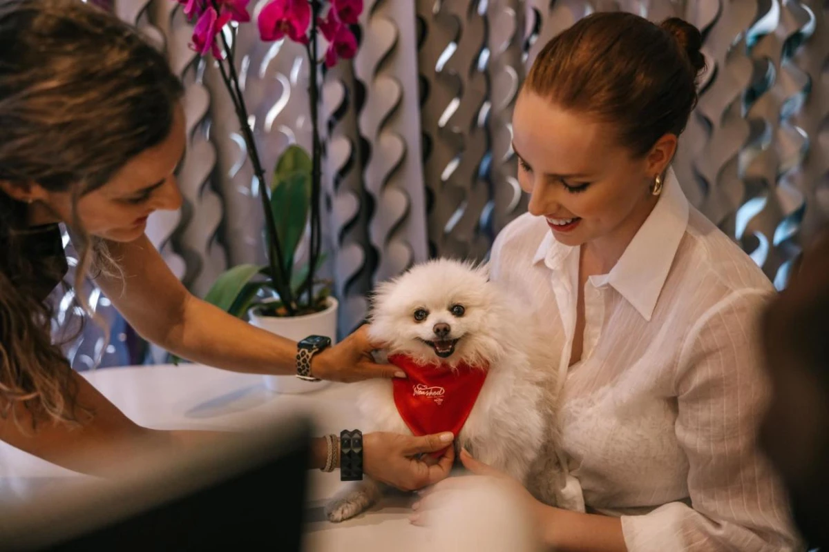 Hard Rock Hotel Ibiza - Hotel Photo 37