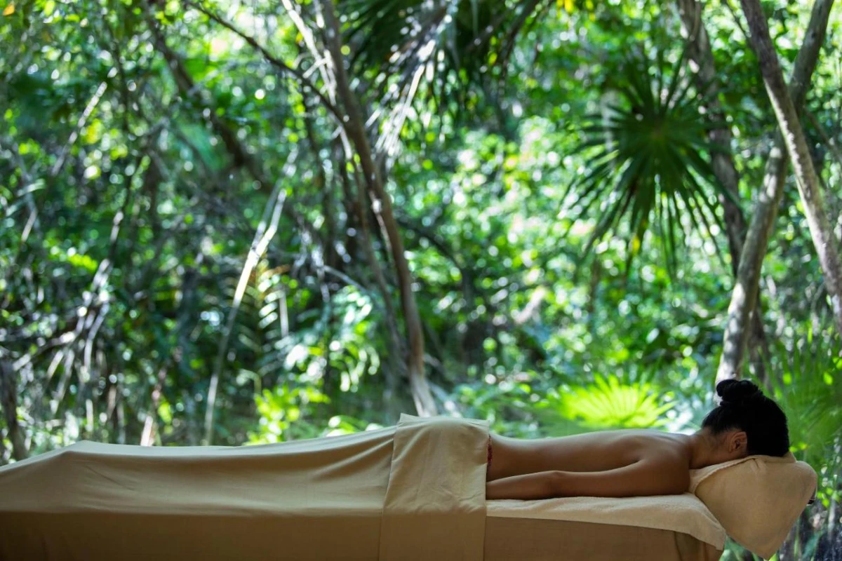 Palmaia The House Of Aia - Hotel Photo 23