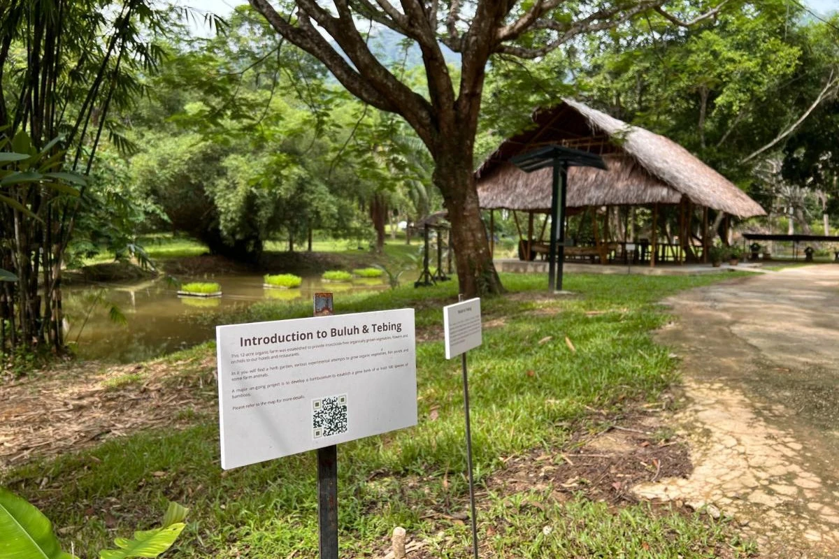 Ambong Ambong Rainforest Retreat - Hotel Photo 43