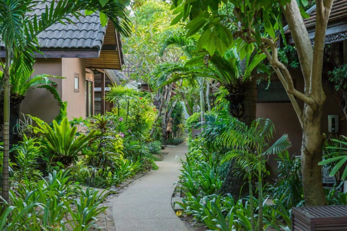 Samui Paradise Chaweng Beach Resort & Spa - Hotel Photo 47