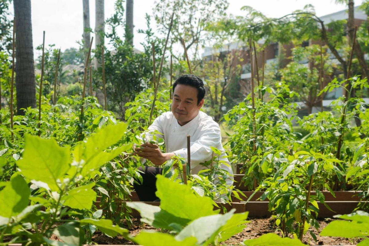 Hyatt Regency Koh Samui - Hotel Photo 30