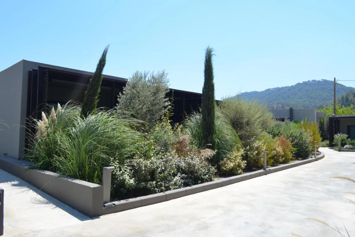 Cooks Club Ialysos - Hotel Photo 15