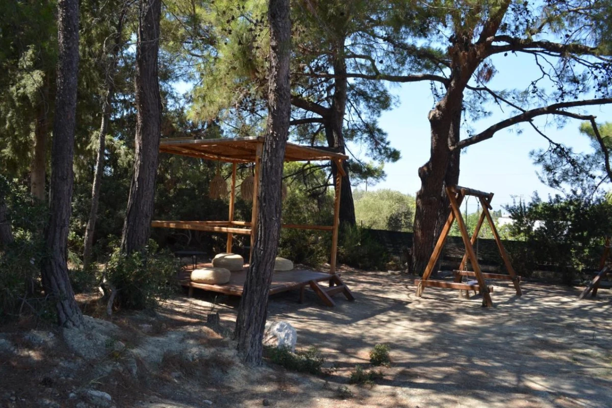 Cooks Club Ialysos - Hotel Photo 34