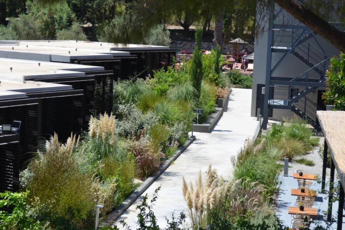 Cooks Club Ialysos - Hotel Photo 66