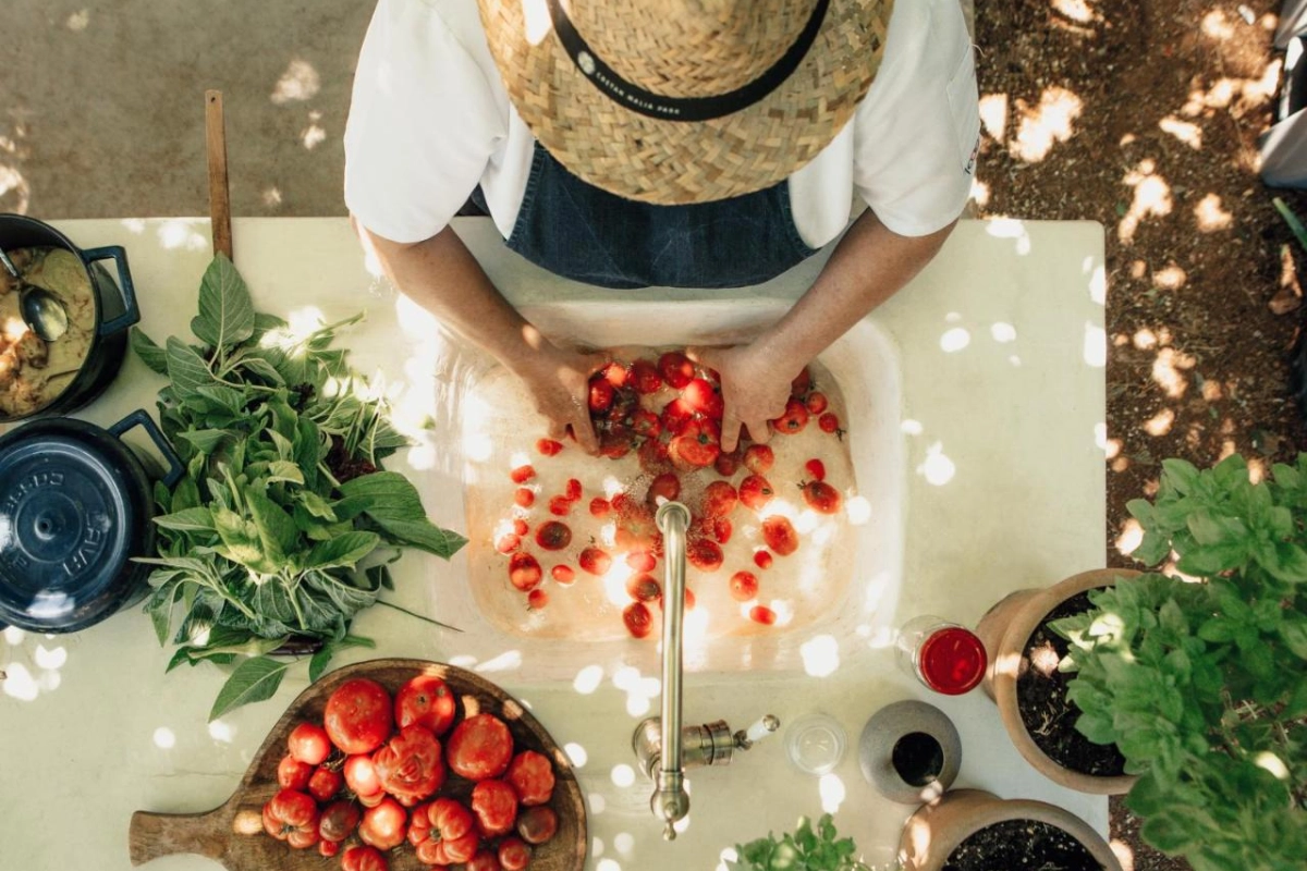 Phaea Cretan Malia - Hotel Photo 20