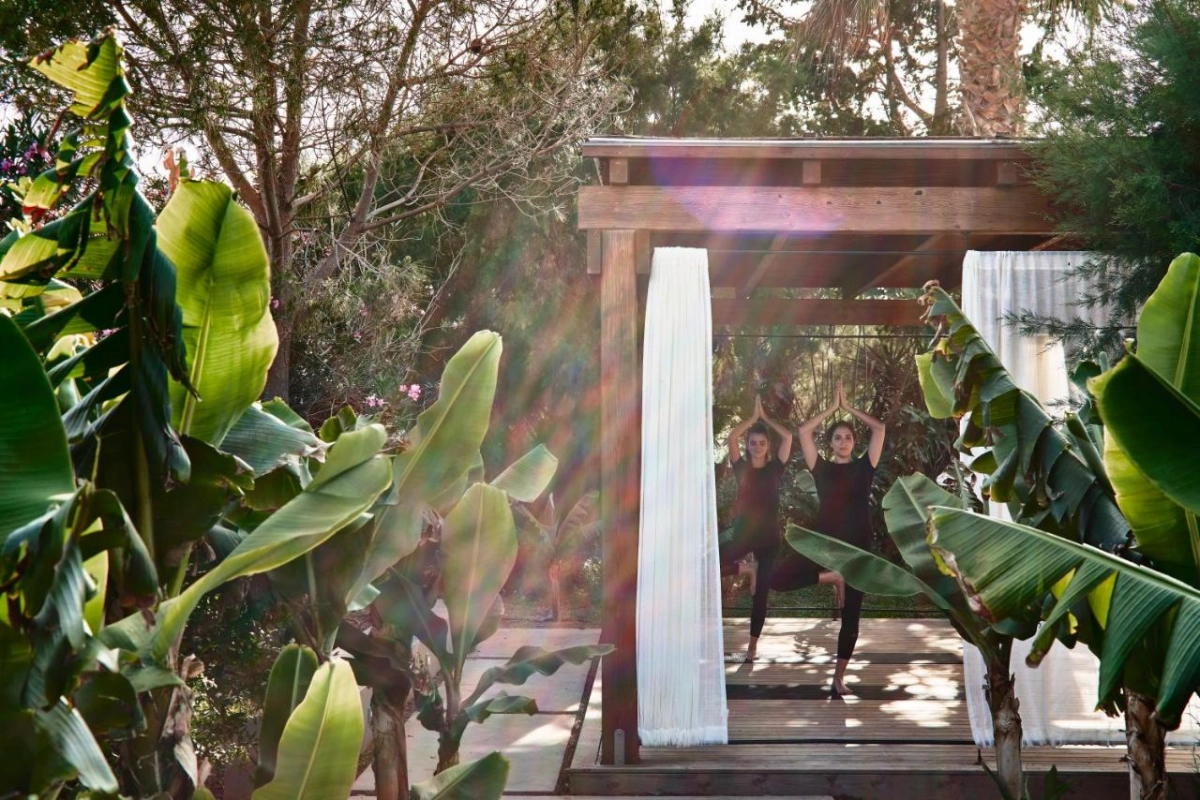 Phaea Cretan Malia - Hotel Photo 33