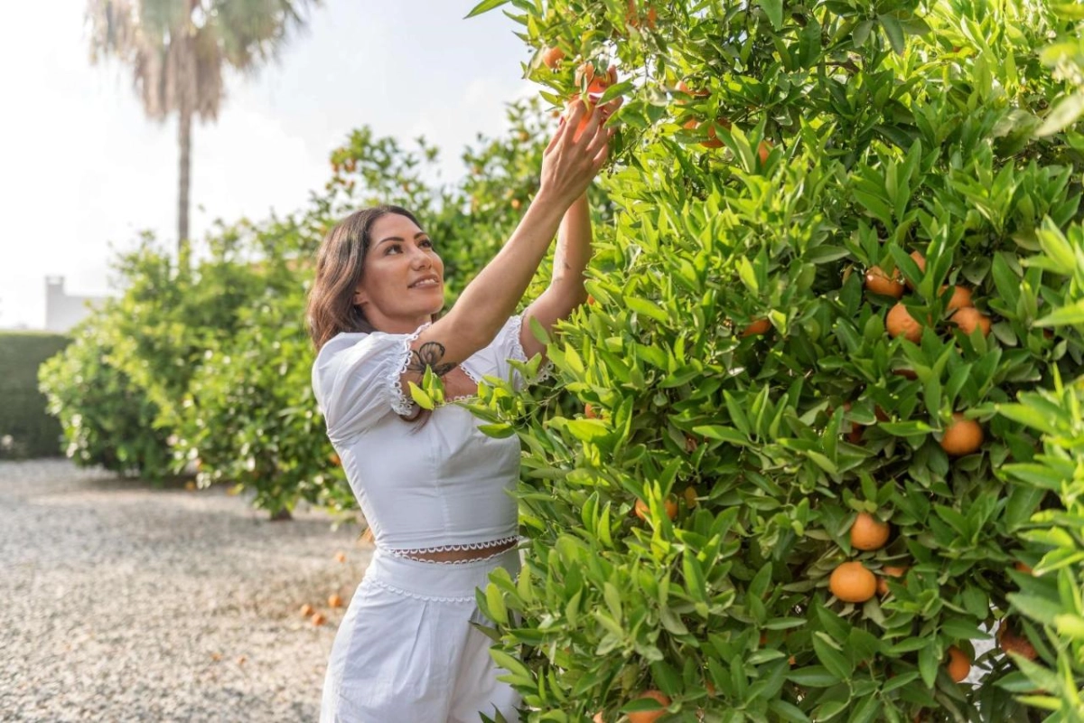 Cap St Georges Hotel & Resort - Hotel Photo 37