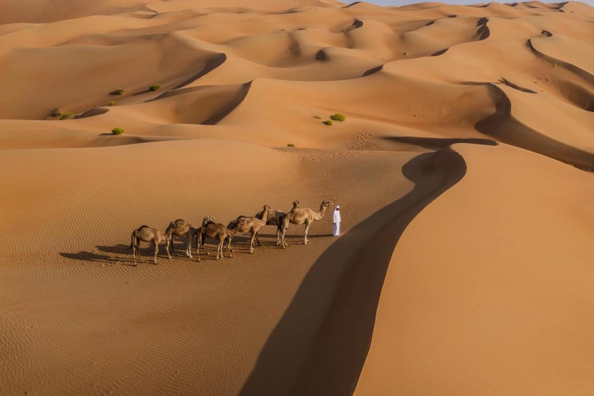 Qasr Al Sarab Desert Resort by Anantara - Hotel Photo 22