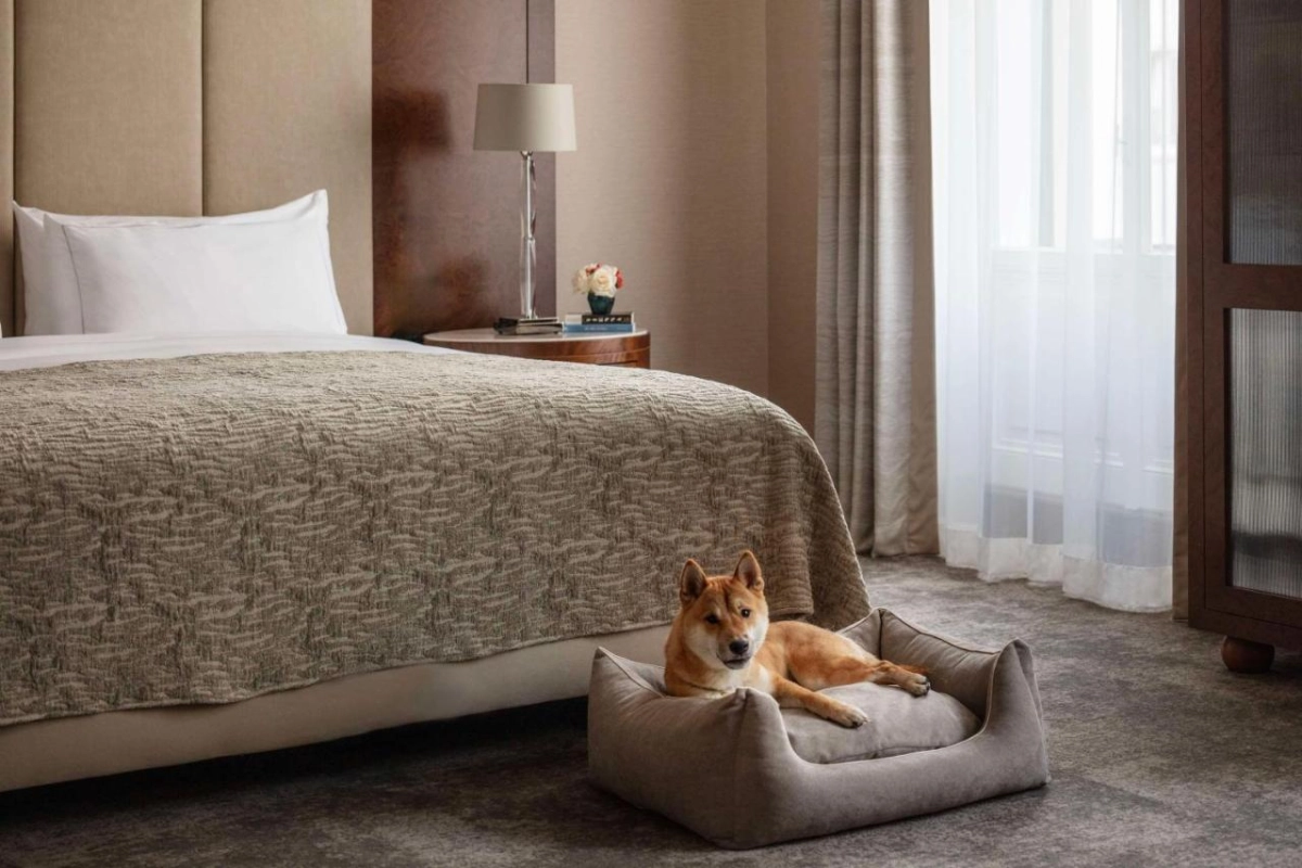 Anantara Palais Hansen Vienna - Hotel Photo 41