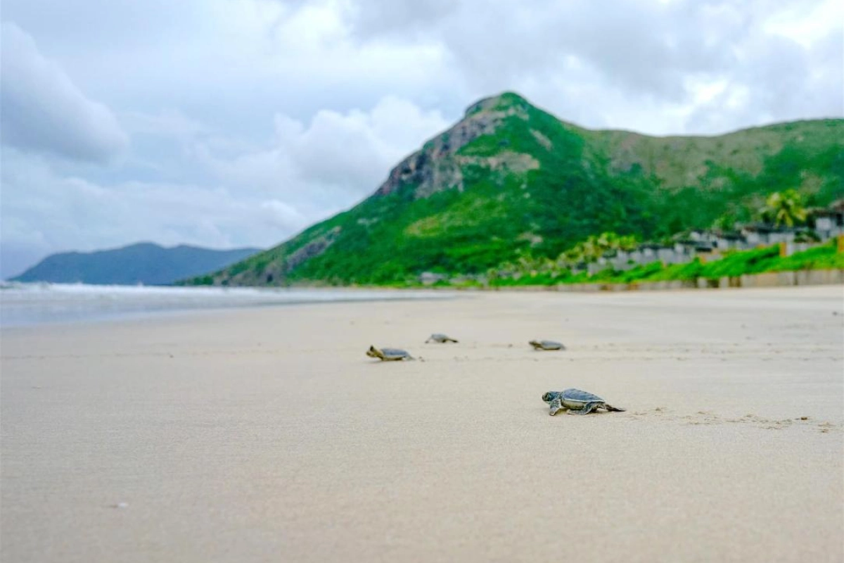 Six Senses Con Dao - Hotel Photo 26