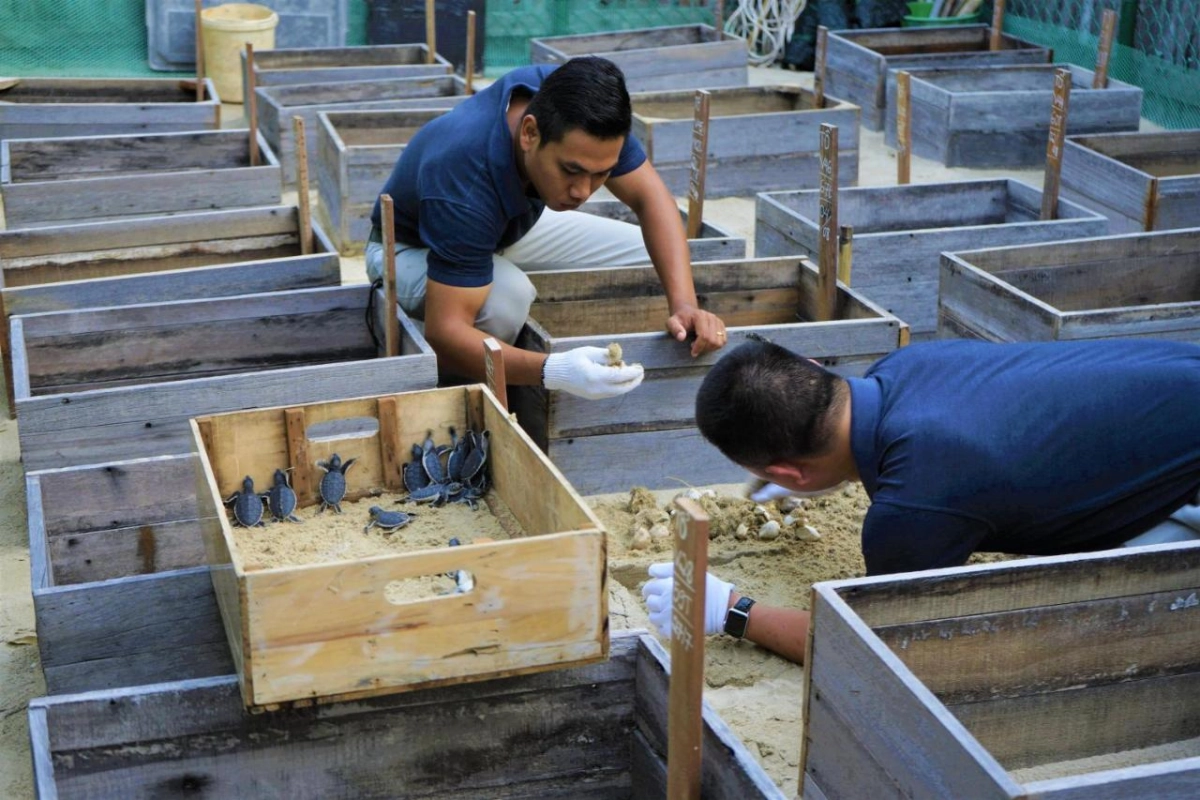 Six Senses Con Dao - Hotel Photo 27