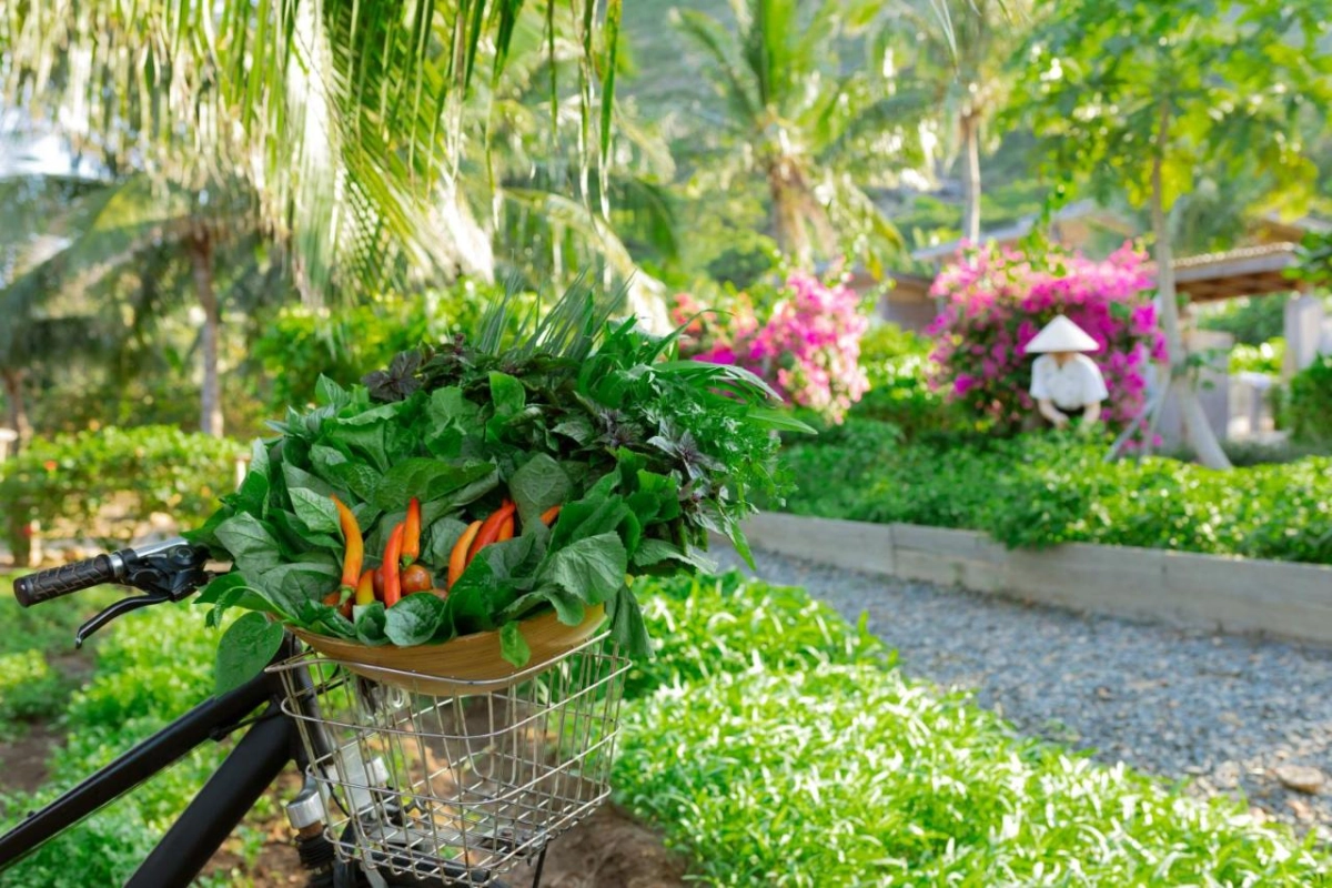 Six Senses Con Dao - Hotel Photo 30