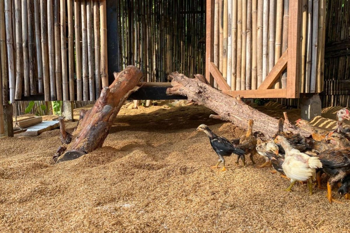 Six Senses Con Dao - Hotel Photo 31