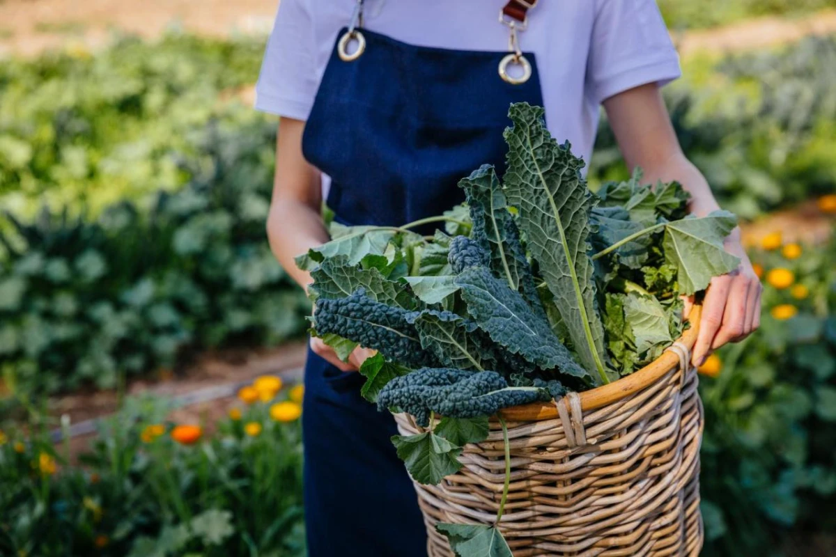 Six Senses Shaharut - Hotel Photo 47