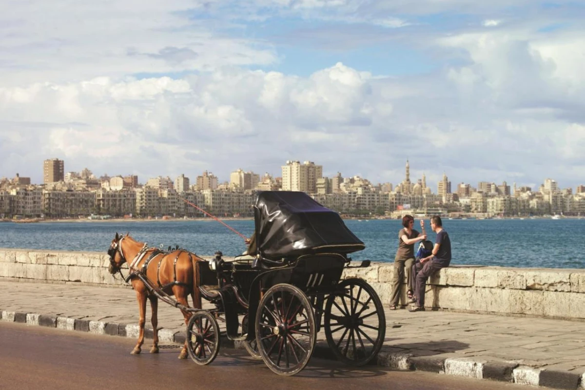 Four Seasons Hotel Alexandria At San Stefano - Hotel Photo 38