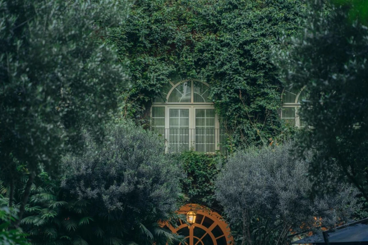 Four Seasons Hotel Mexico City - Hotel Photo 8