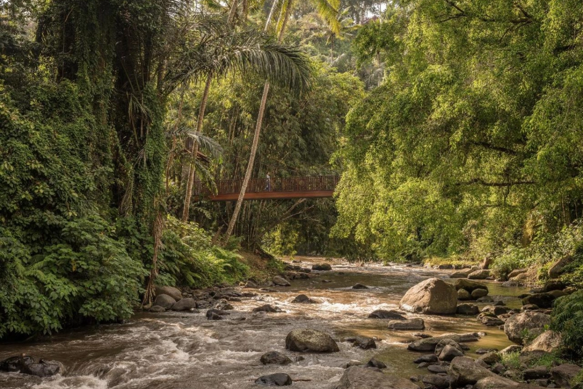Four Seasons Resort Bali at Sayan - Hotel Photo 20