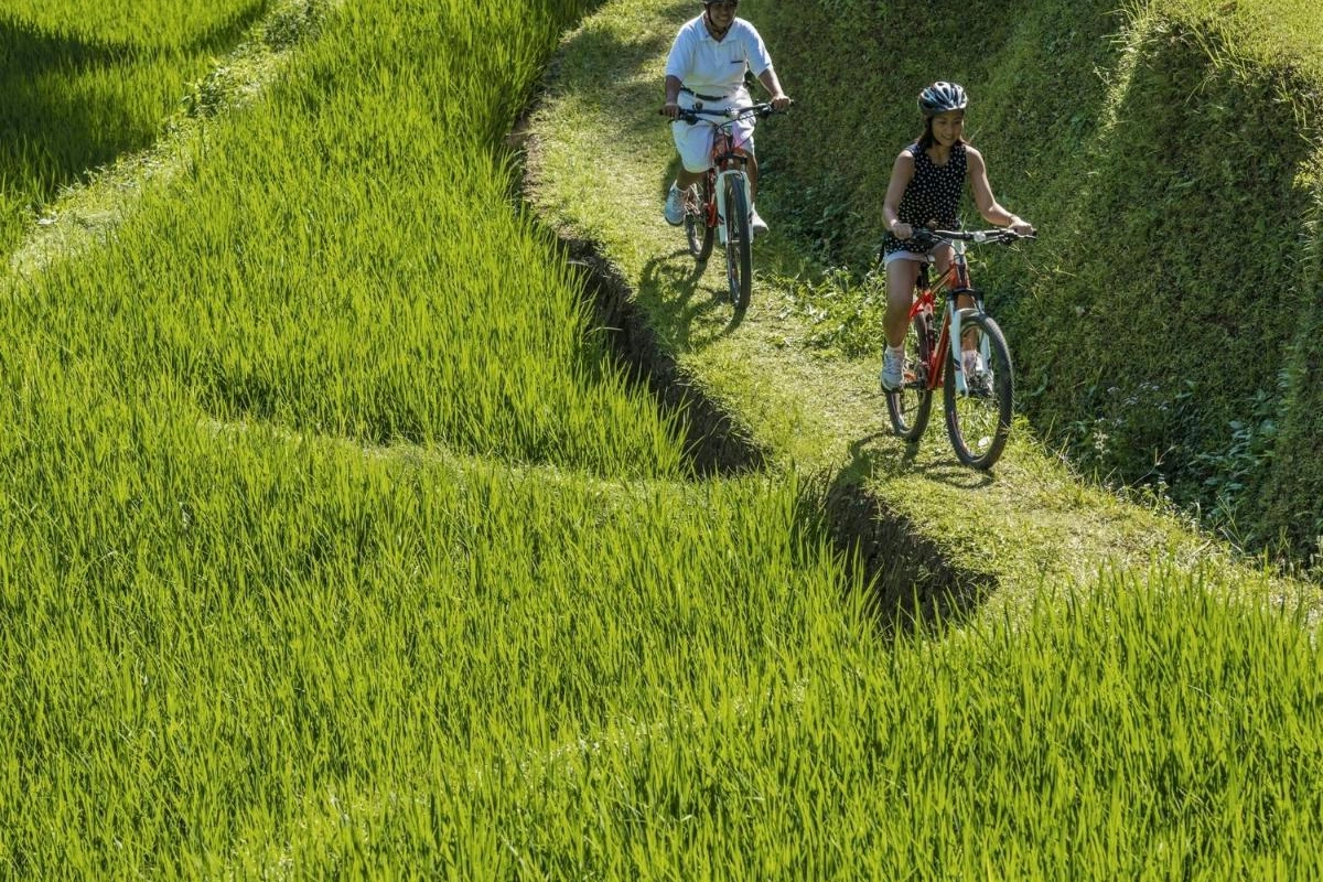 Four Seasons Resort Bali at Sayan - Hotel Photo 21