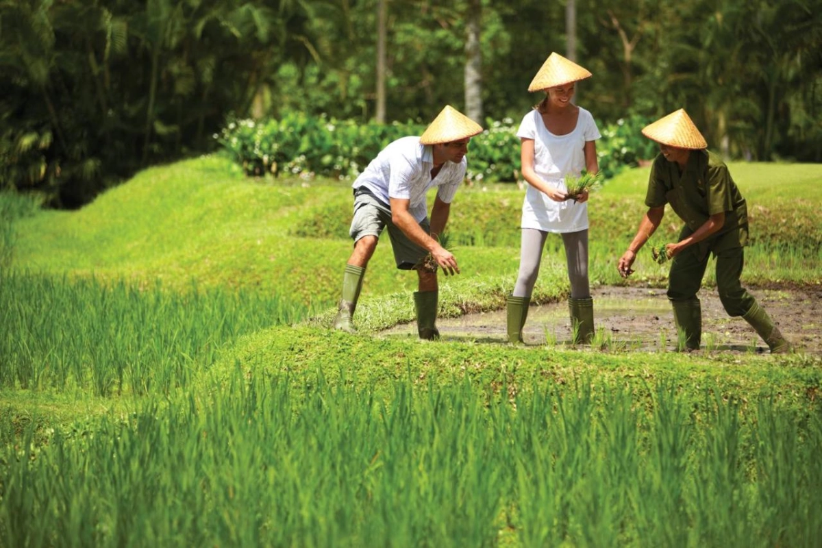 Four Seasons Resort Bali at Sayan - Hotel Photo 23