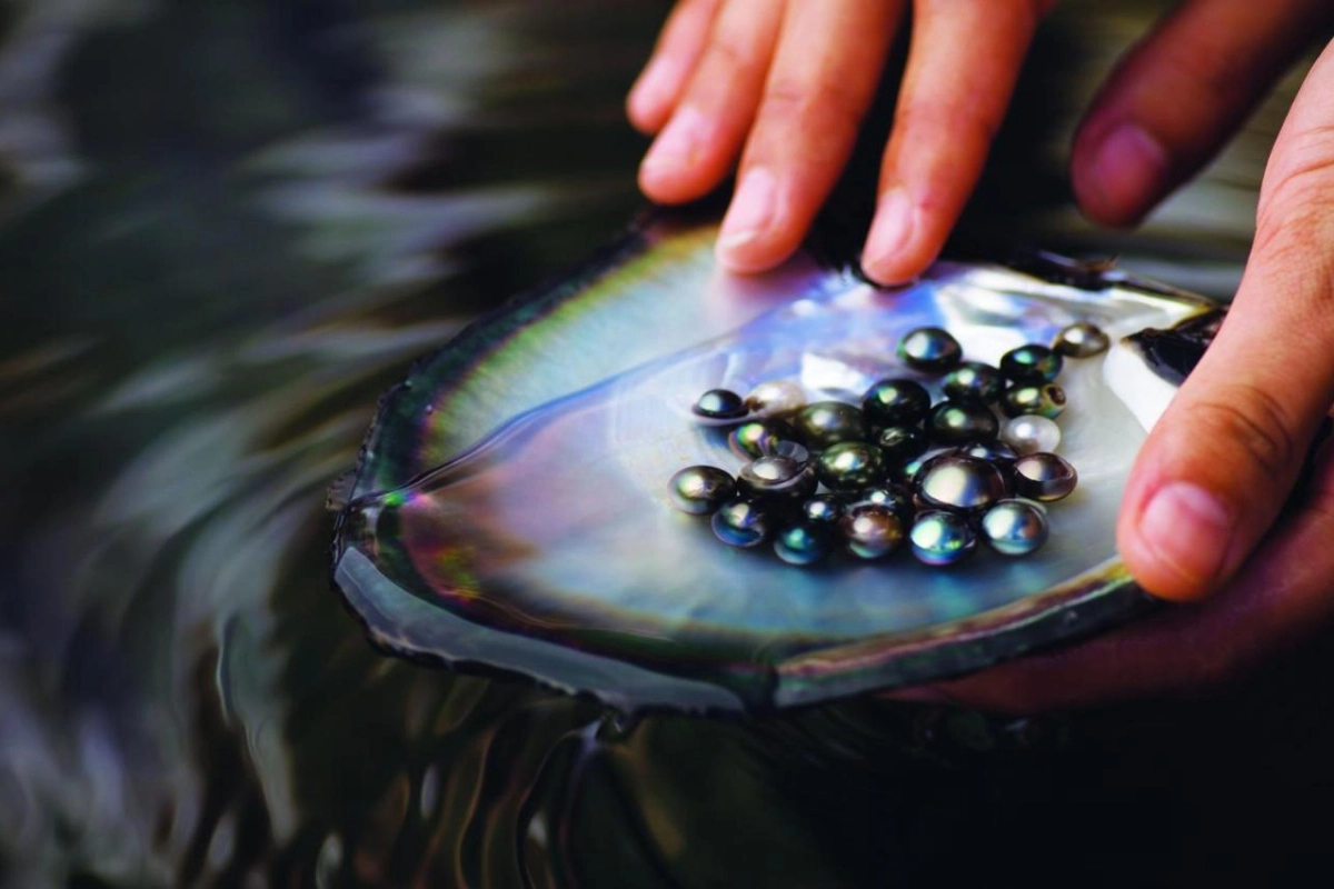 Four Seasons Resort Bora Bora - Hotel Photo 28