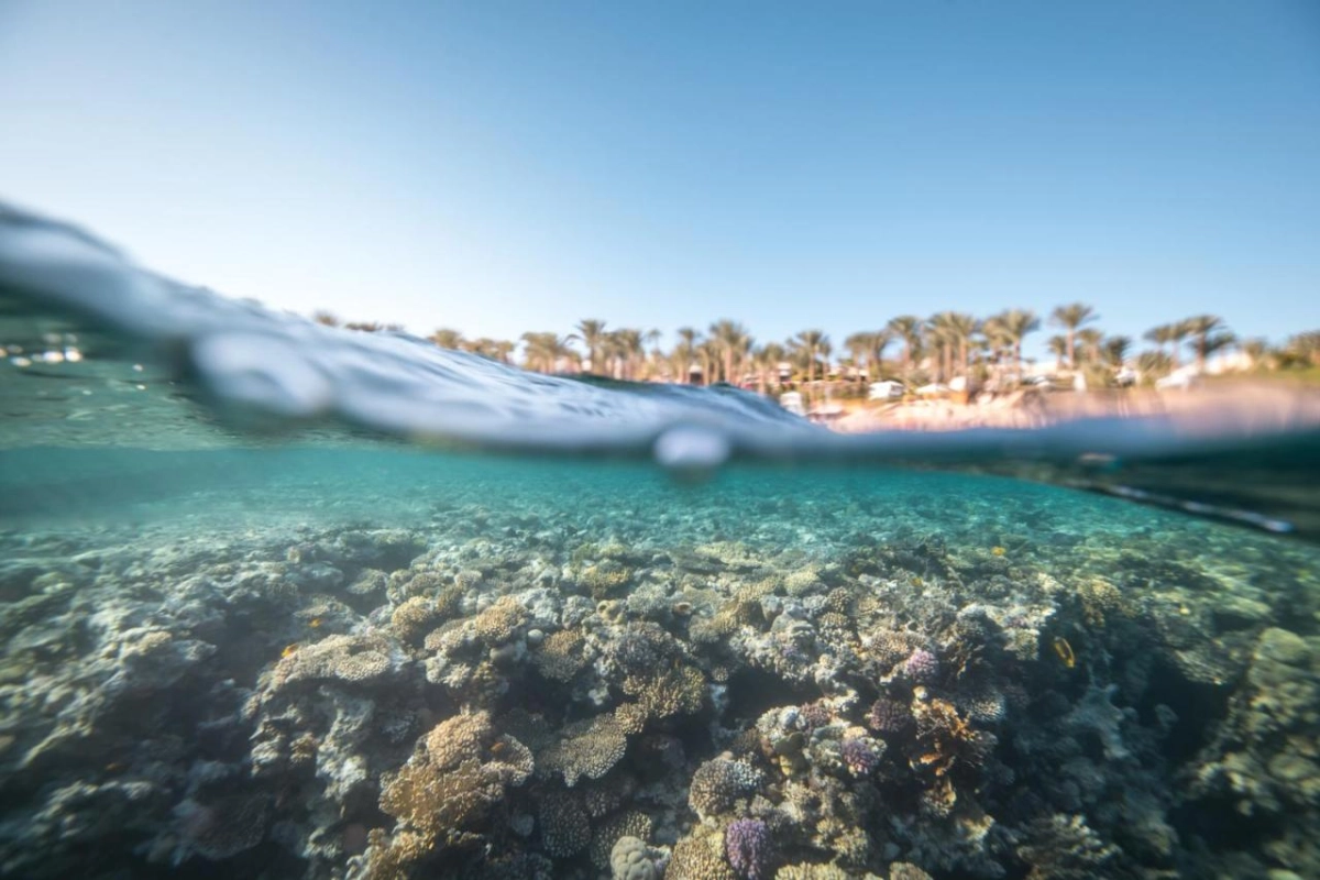 Four Seasons Resort Sharm El Sheikh - Hotel Photo 31