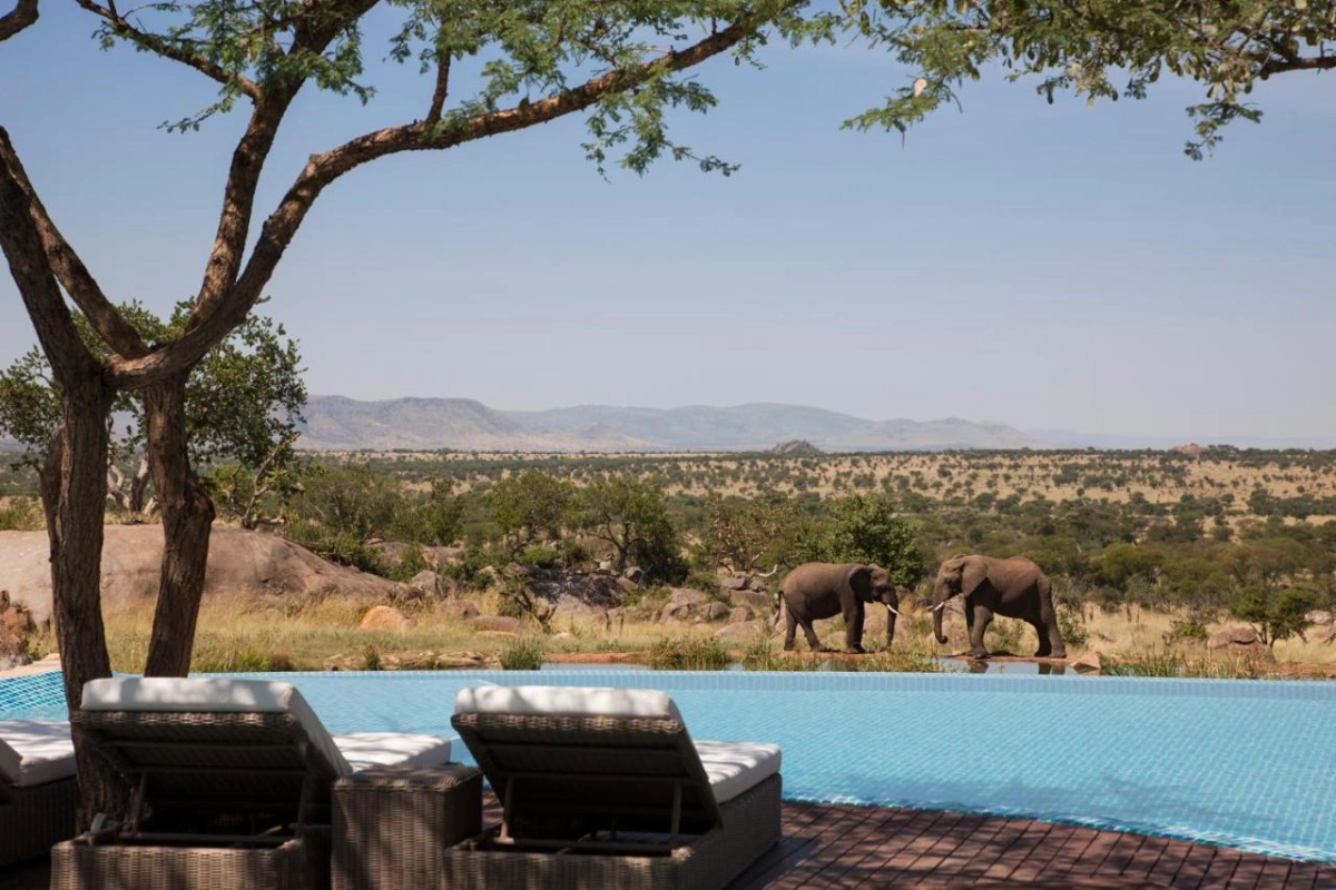 Four Seasons Safari Lodge Serengeti - Hotel Photo 22